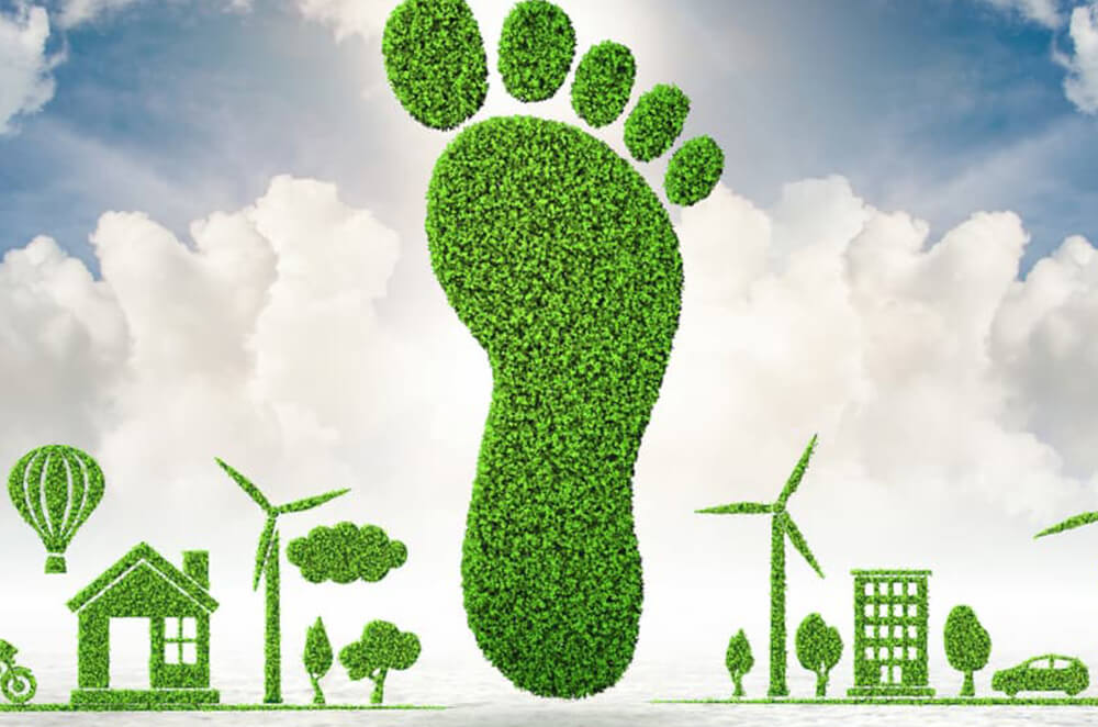 Eco Footprint: What it is, and how to measure and reduce it