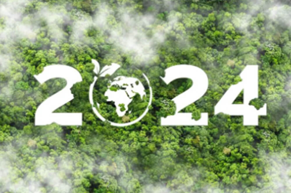 Sustainable New Year's Resolutions: 5 Tips for a Greener 2024