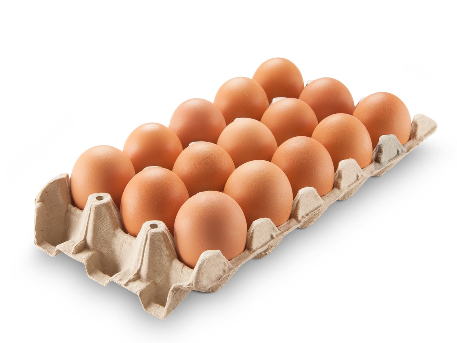 Egg Tray/Filler Flat for 15 units
